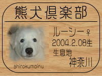 �I�[�i�[�́A���[�V�[�܂܂���ł���